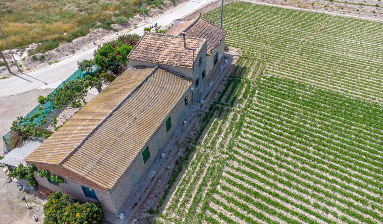 Revente - Finca / Propriété de campagne - Orihuela - Desamparados-Hurchillo-Torremendo