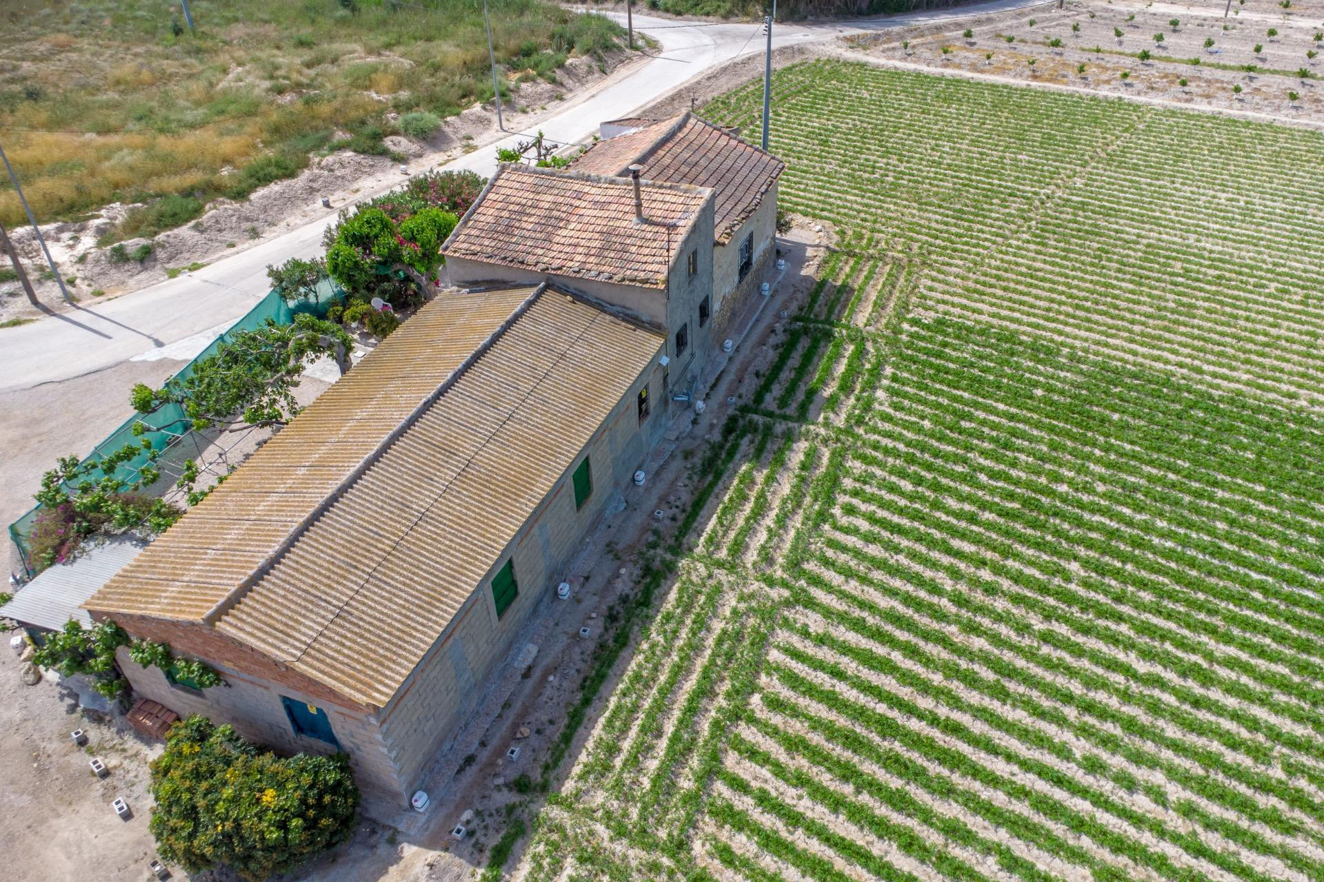 Revente - Finca / Propriété de campagne - Orihuela - Desamparados-Hurchillo-Torremendo