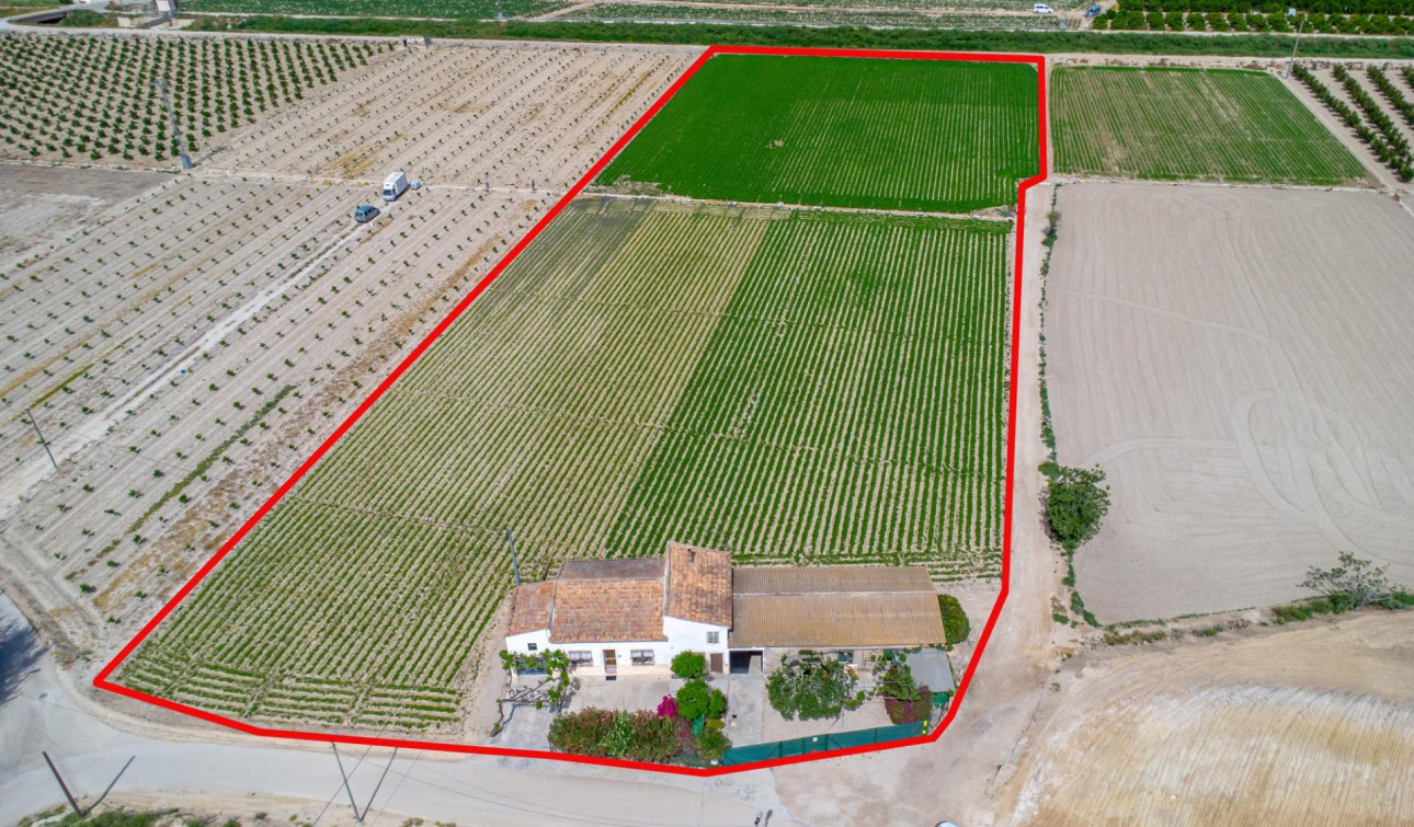 Revente - Finca / Propriété de campagne - Orihuela - Desamparados-Hurchillo-Torremendo
