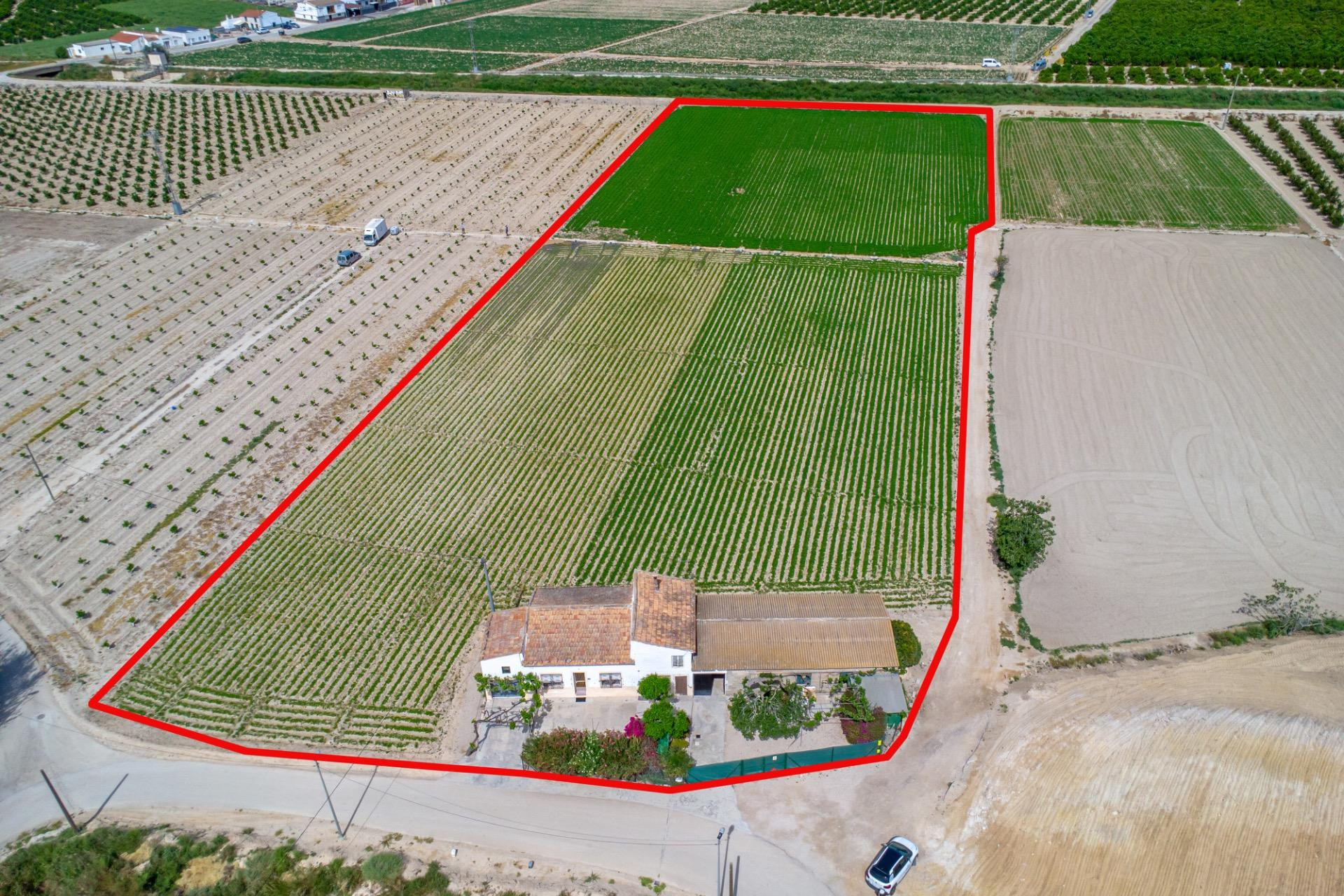 Revente - Finca / Propriété de campagne - Orihuela - Desamparados-Hurchillo-Torremendo