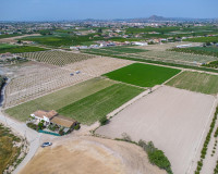 Revente - Finca / Propriété de campagne - Orihuela - Desamparados-Hurchillo-Torremendo