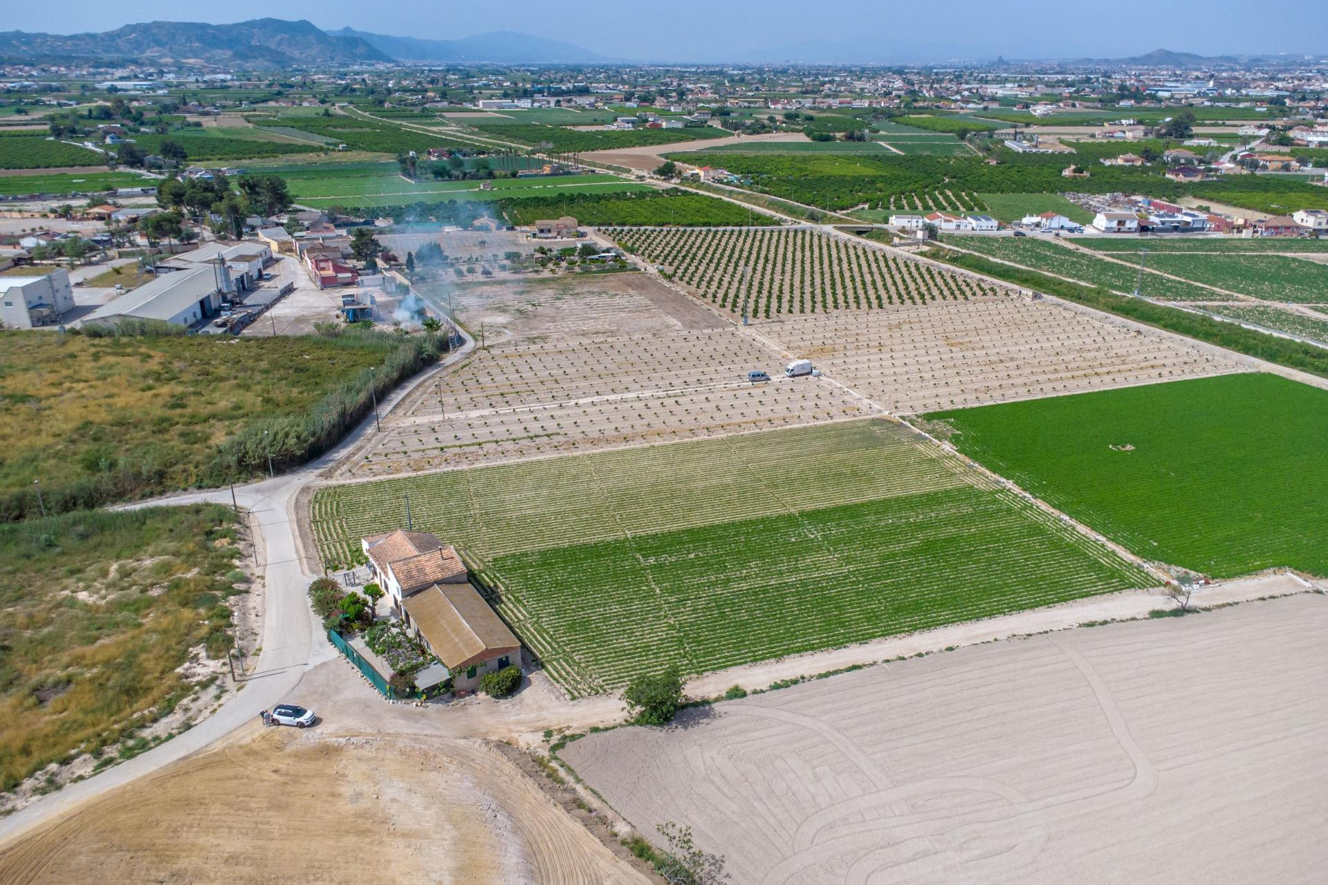 Revente - Finca / Propriété de campagne - Orihuela - Desamparados-Hurchillo-Torremendo