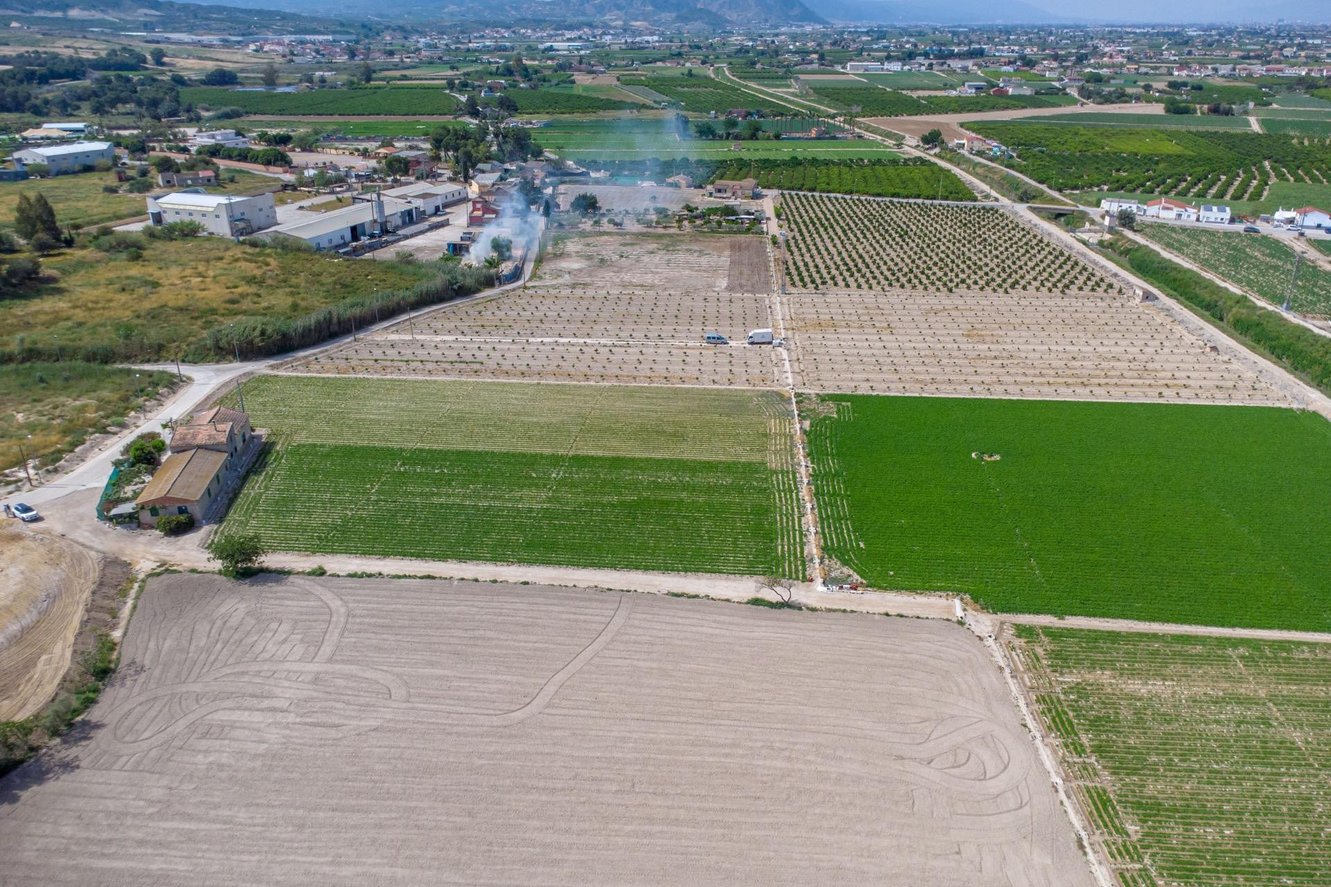 Revente - Finca / Propriété de campagne - Orihuela - Desamparados-Hurchillo-Torremendo