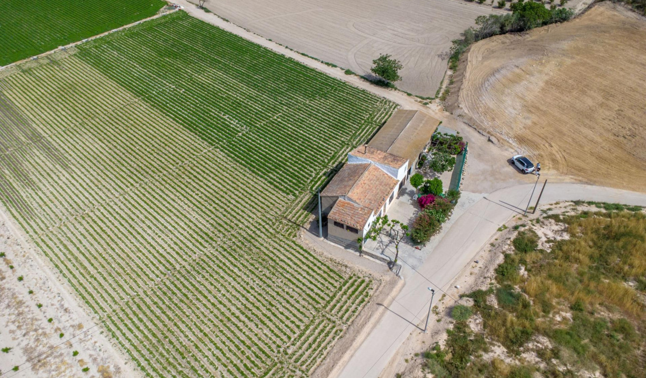 Revente - Finca / Propriété de campagne - Orihuela - Desamparados-Hurchillo-Torremendo