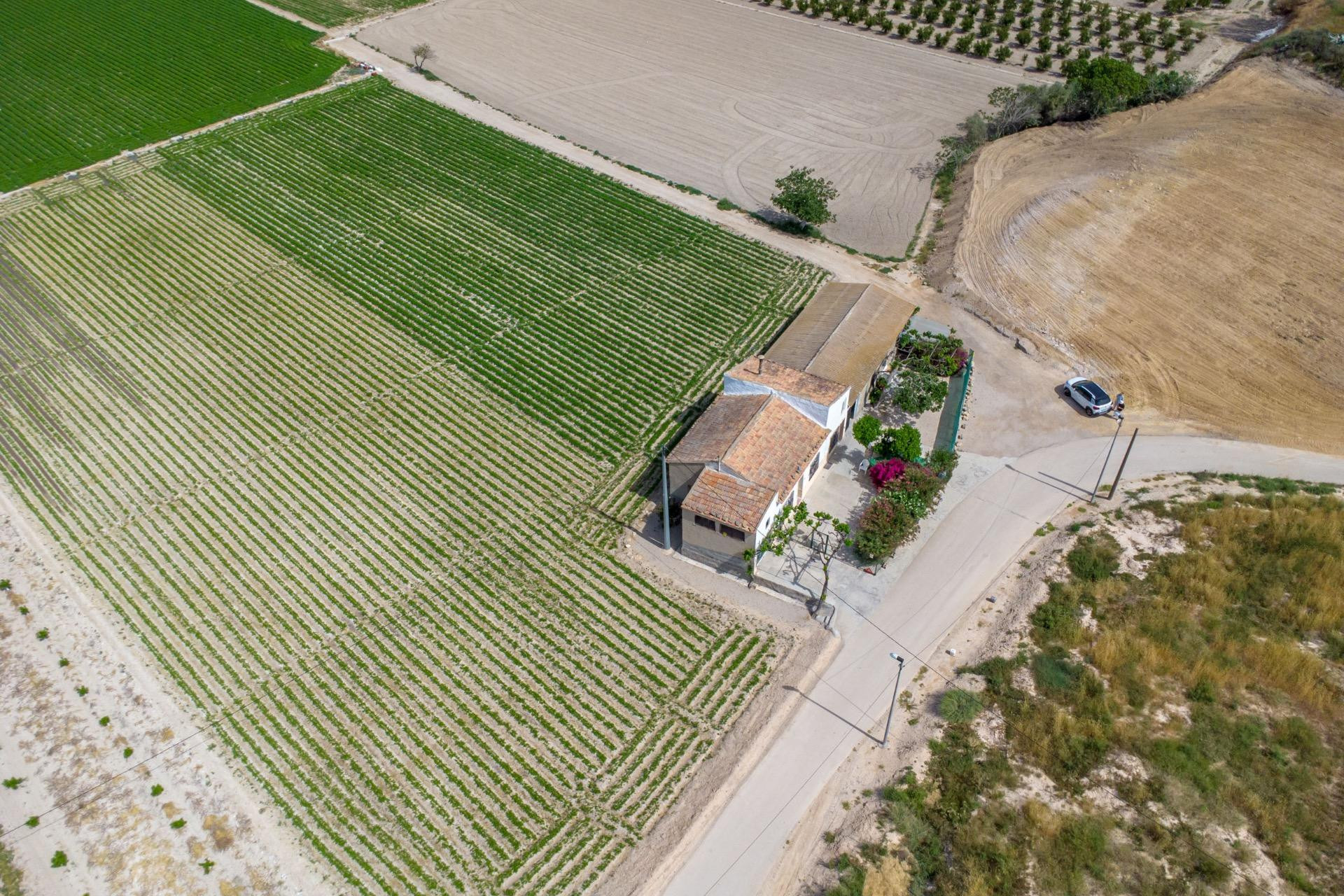 Revente - Finca / Propriété de campagne - Orihuela - Desamparados-Hurchillo-Torremendo