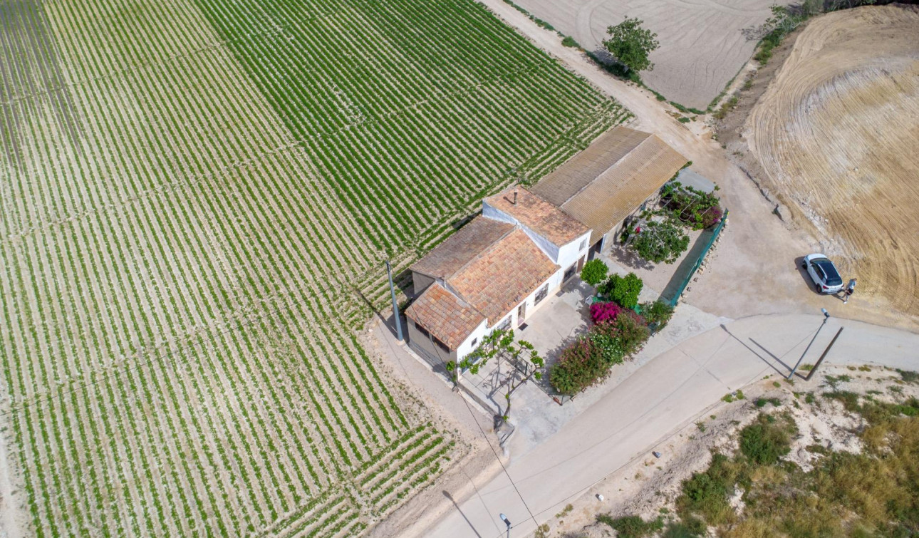 Revente - Finca / Propriété de campagne - Orihuela - Desamparados-Hurchillo-Torremendo