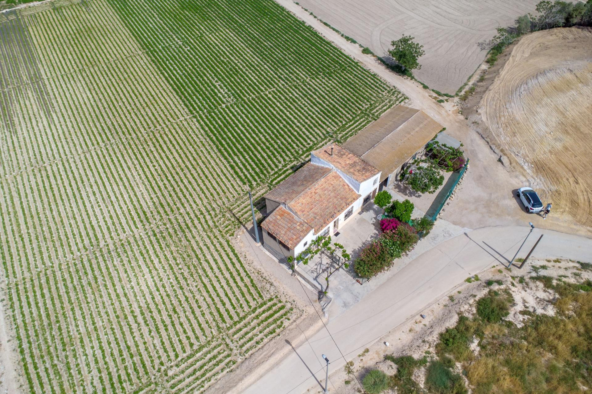Revente - Finca / Propriété de campagne - Orihuela - Desamparados-Hurchillo-Torremendo