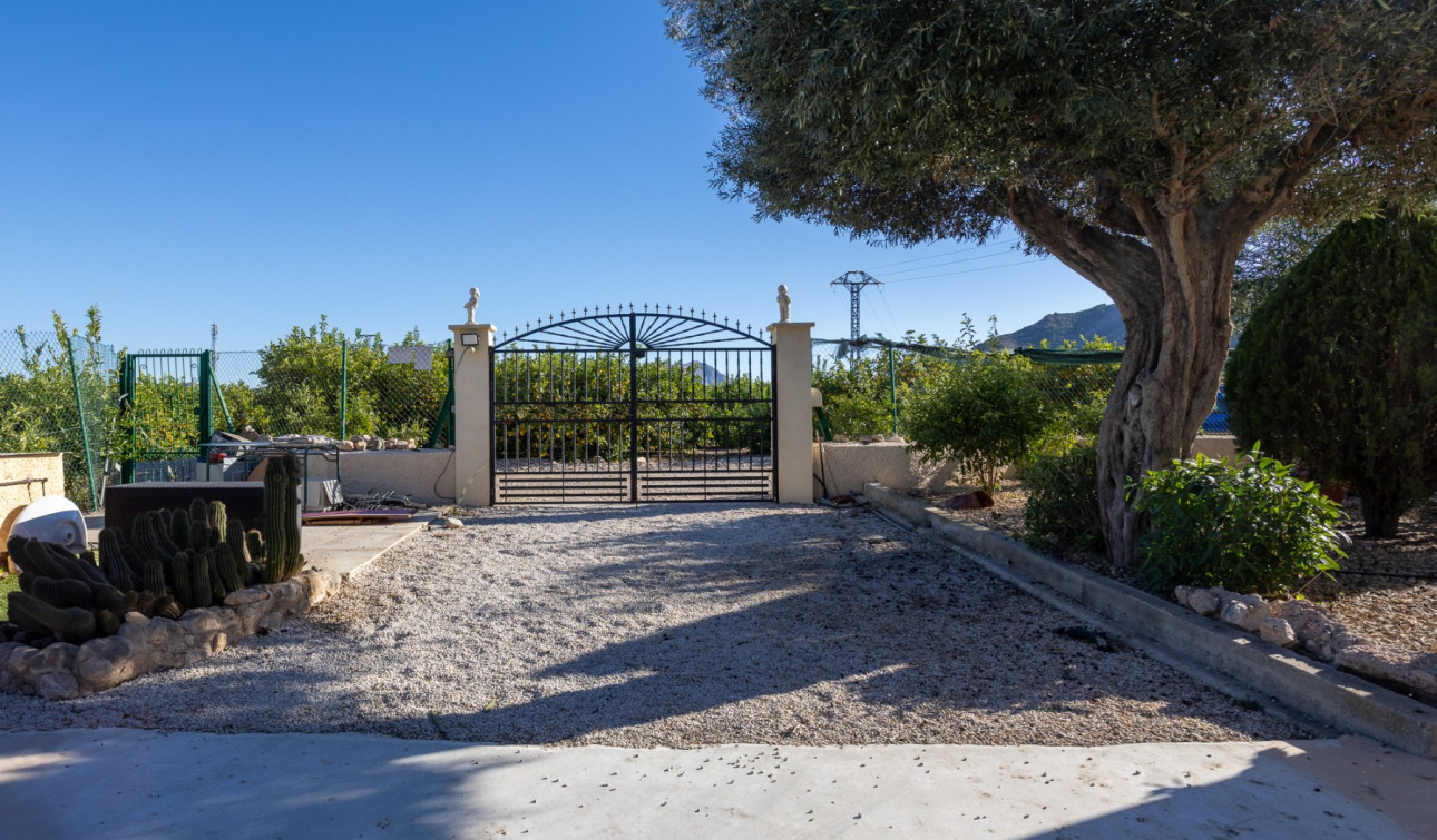 Revente - Finca / Propriété de campagne - Orihuela - La Matanza