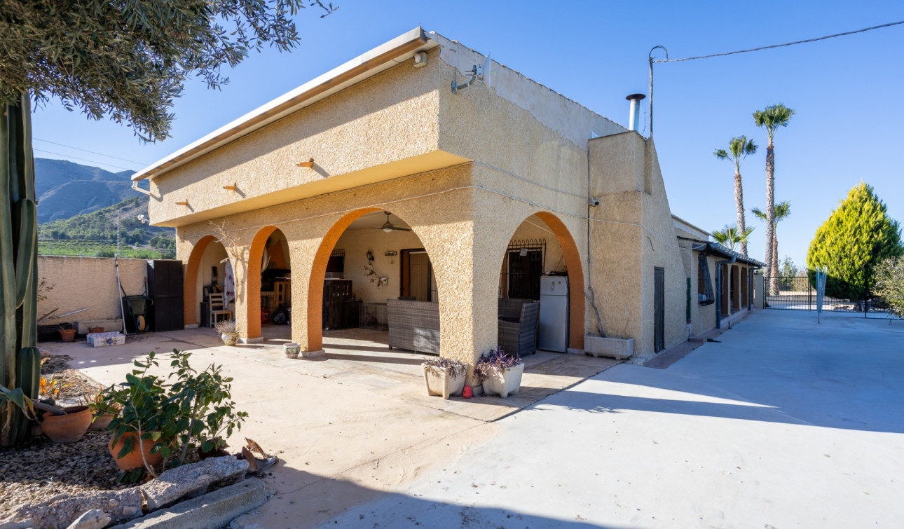 Revente - Finca / Propriété de campagne - Orihuela - La Matanza