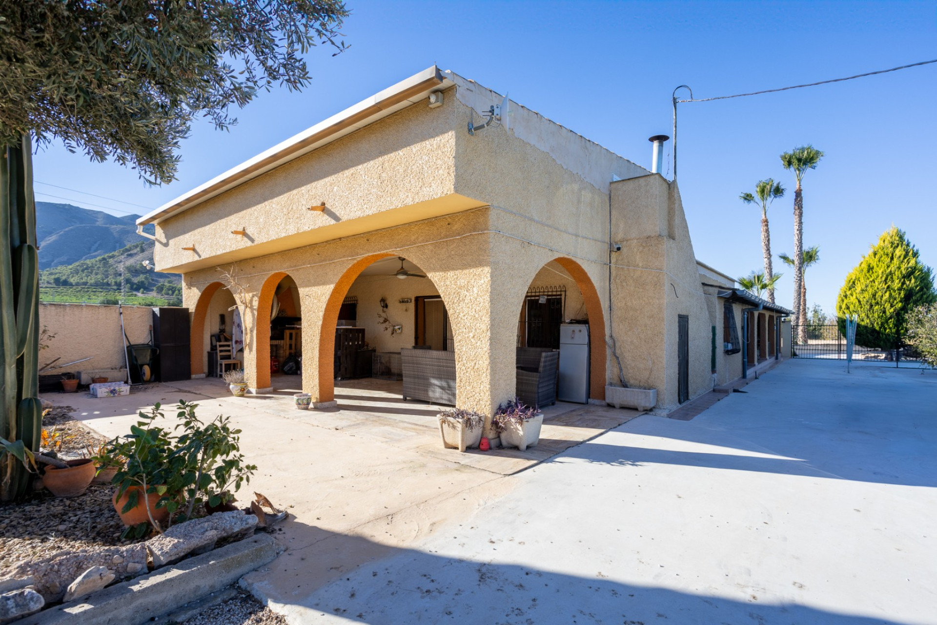 Revente - Finca / Propriété de campagne - Orihuela - La Matanza