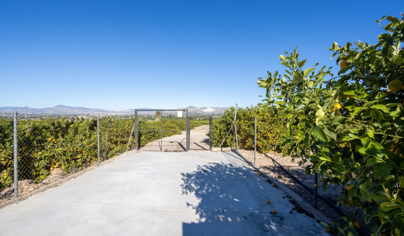 Revente - Finca / Propriété de campagne - Orihuela - La Matanza