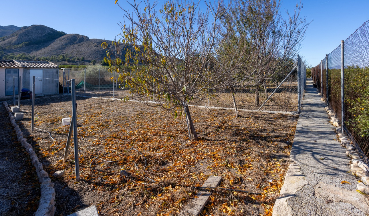 Revente - Finca / Propriété de campagne - Orihuela - La Matanza