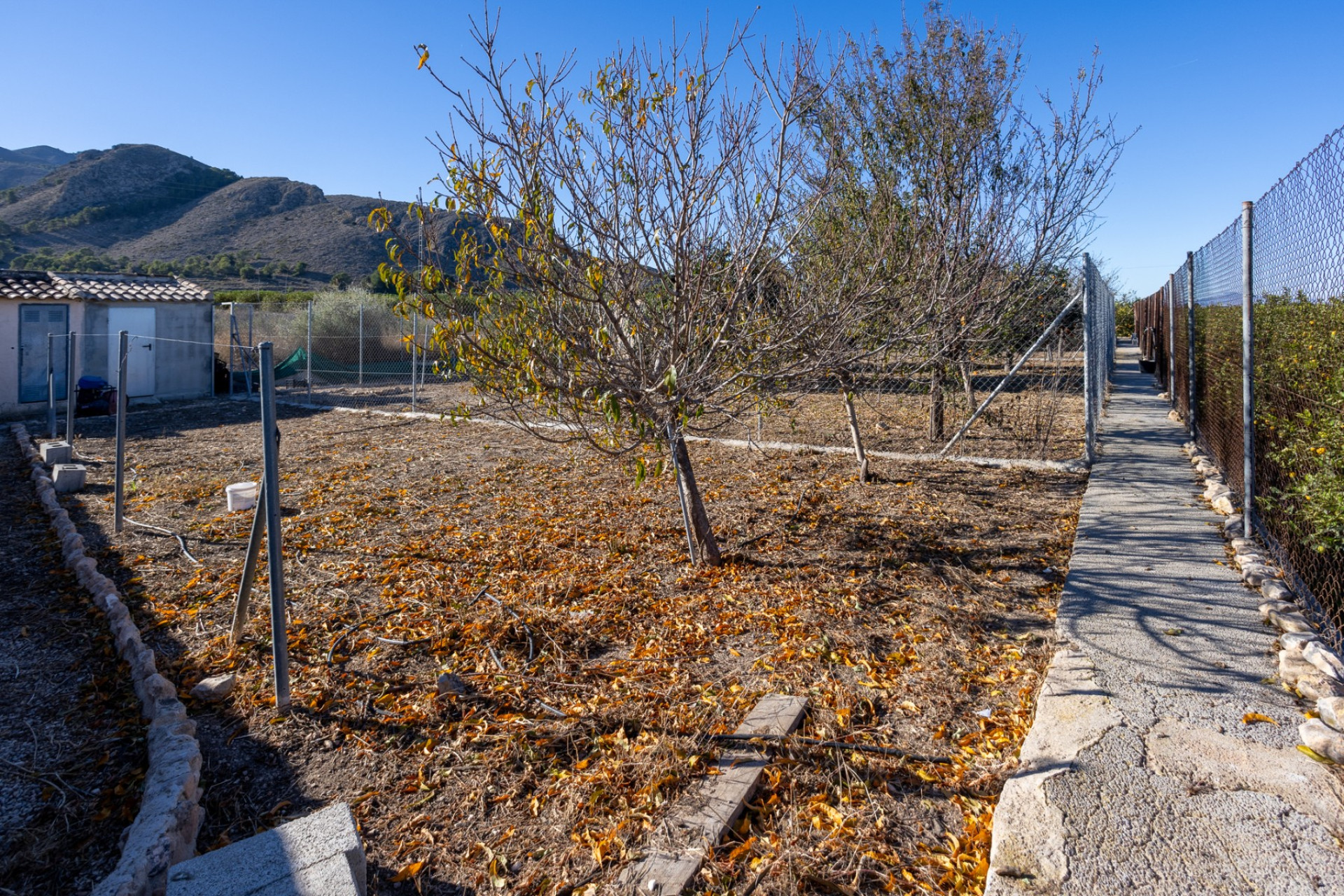 Revente - Finca / Propriété de campagne - Orihuela - La Matanza