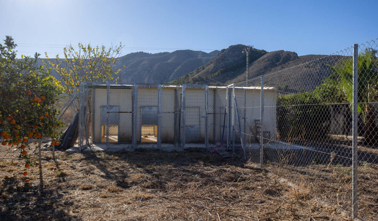 Revente - Finca / Propriété de campagne - Orihuela - La Matanza