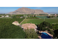 Revente - Finca / Propriété de campagne - Orihuela - San Bartolome
