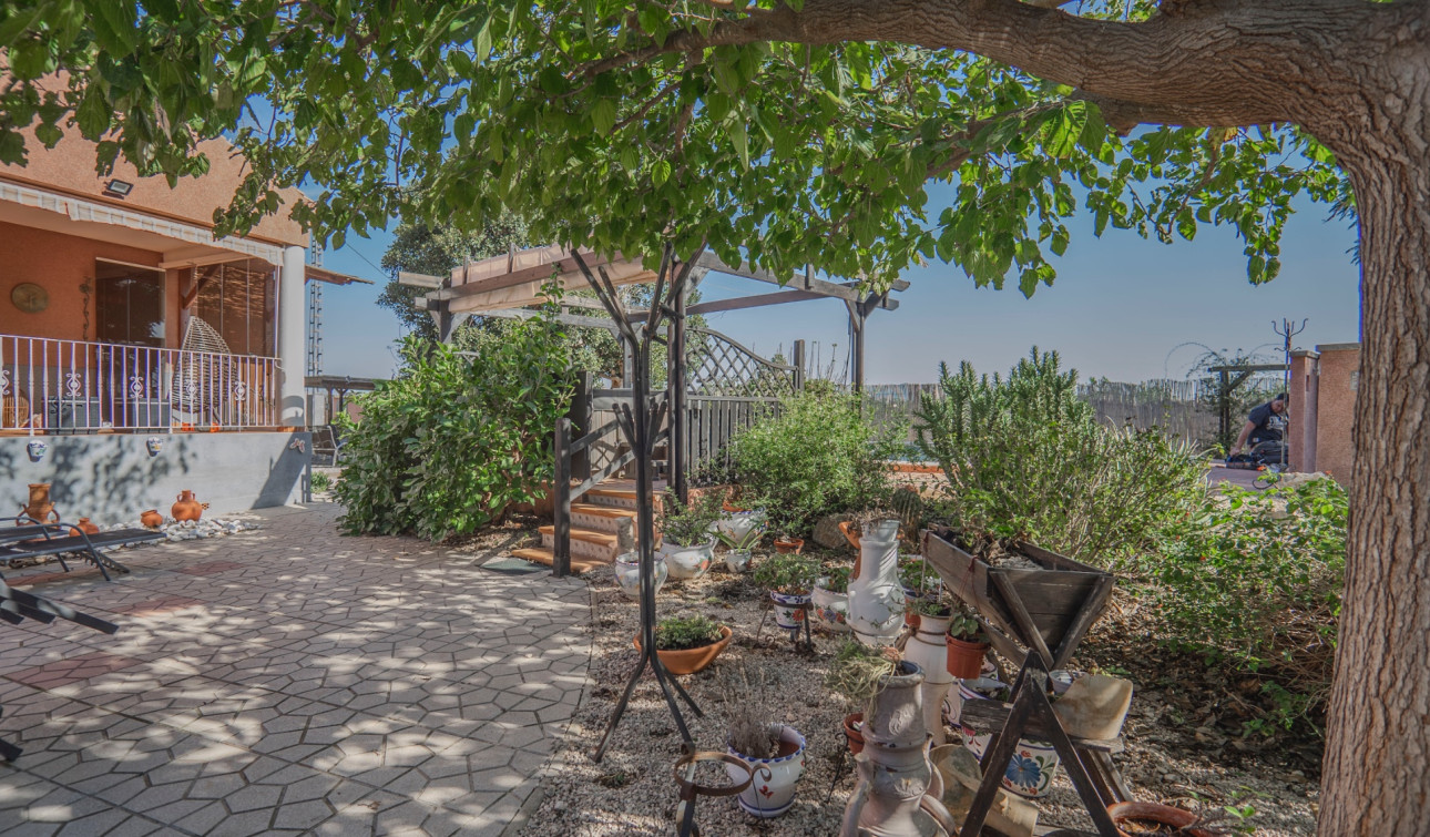 Revente - Finca / Propriété de campagne - Orihuela - San Bartolome