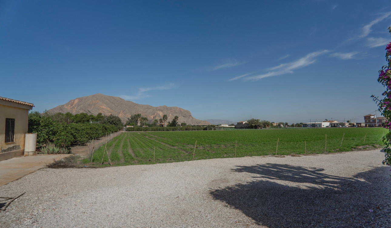 Revente - Finca / Propriété de campagne - Orihuela - San Bartolome