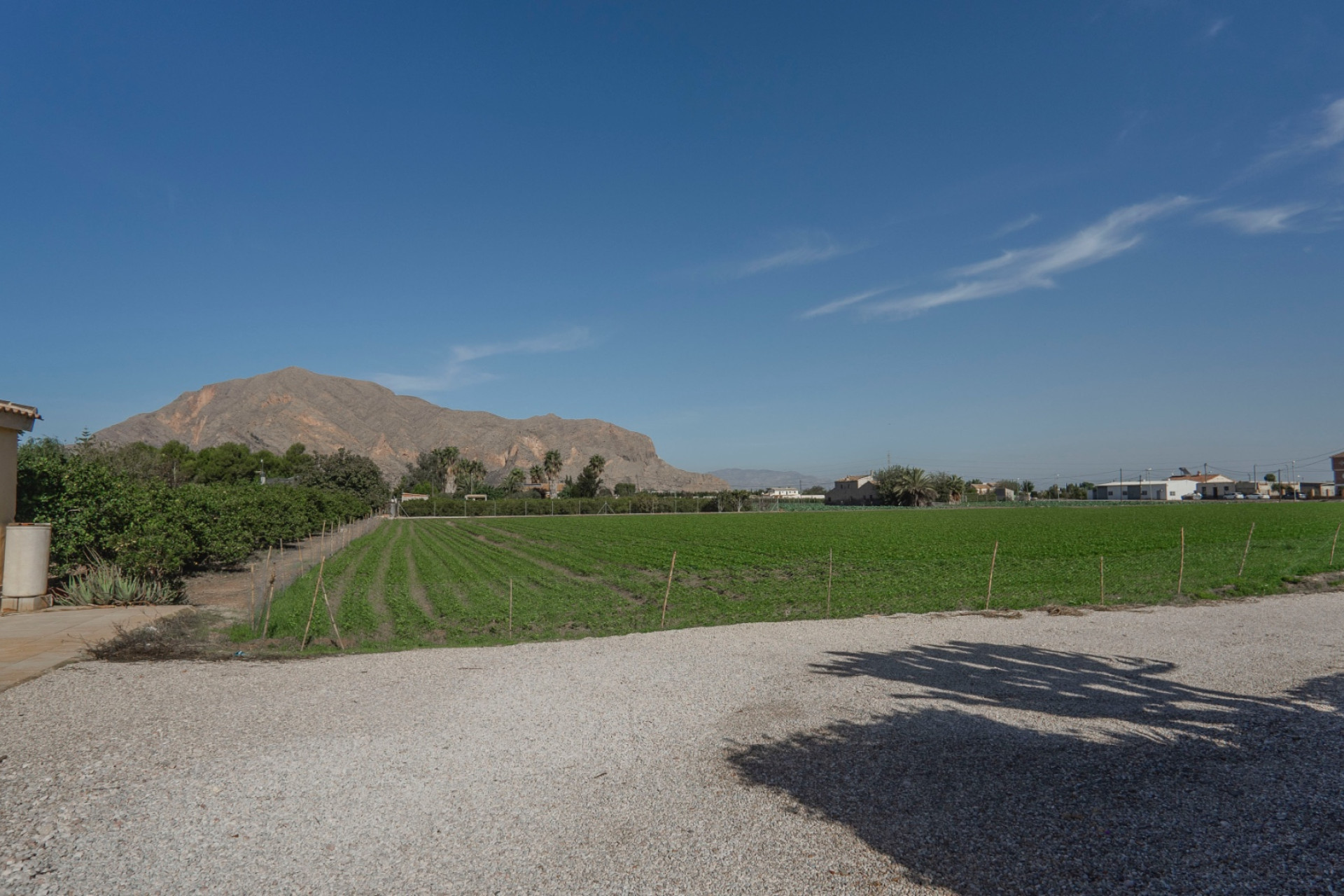 Revente - Finca / Propriété de campagne - Orihuela - San Bartolome