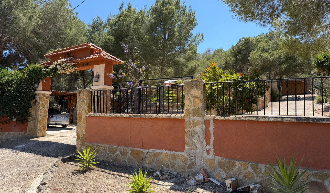 Revente - Finca / Propriété de campagne - Orihuela - Torremendo