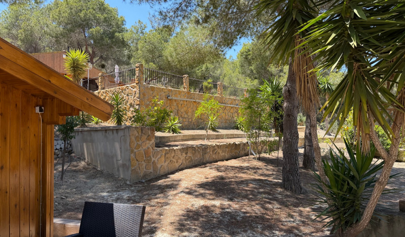 Revente - Finca / Propriété de campagne - Orihuela - Torremendo