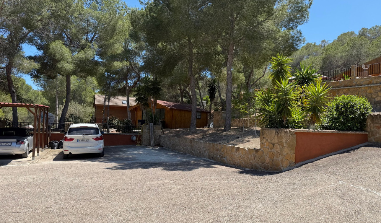 Revente - Finca / Propriété de campagne - Orihuela - Torremendo