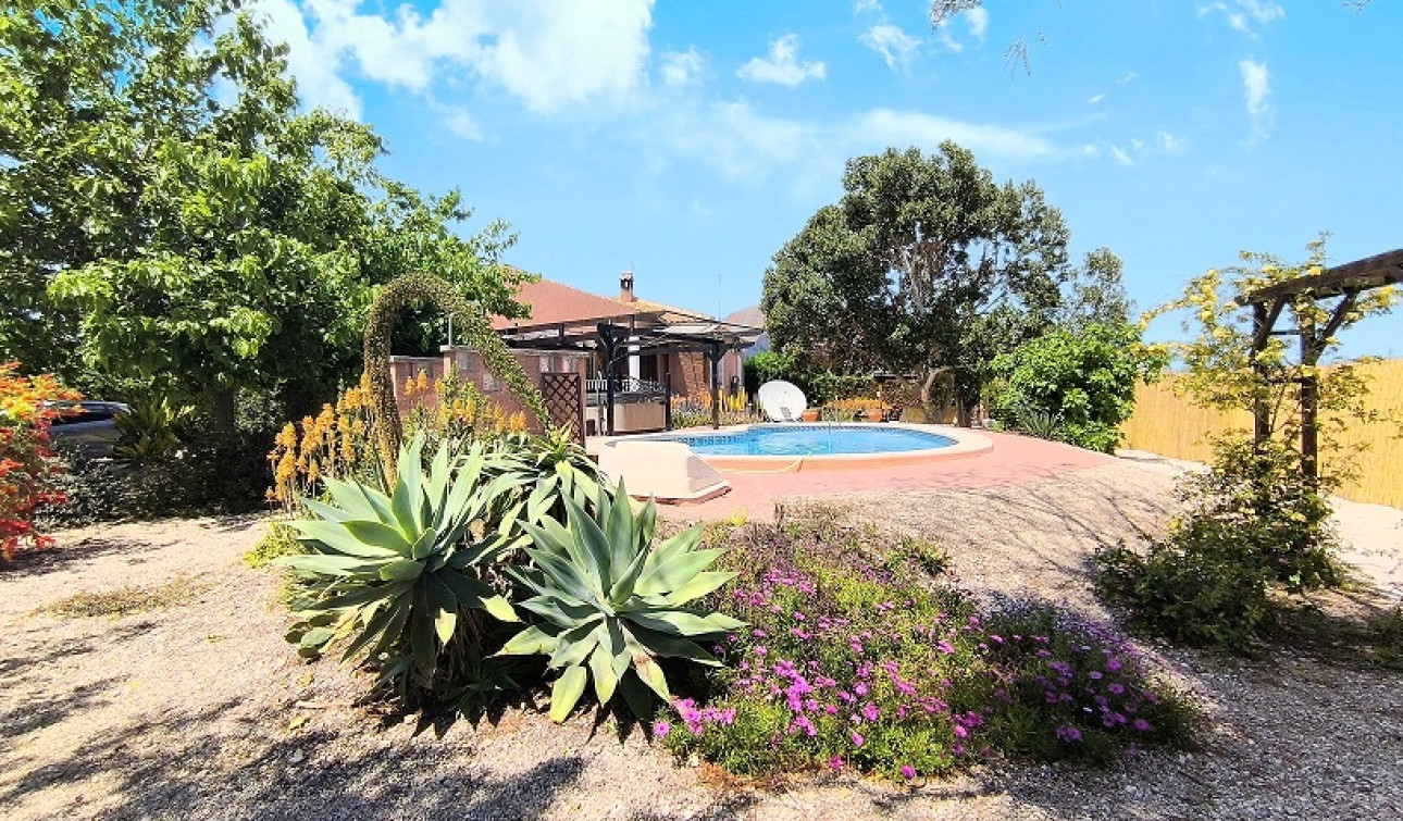 Revente - Finca / Propriété de campagne - Orihuela