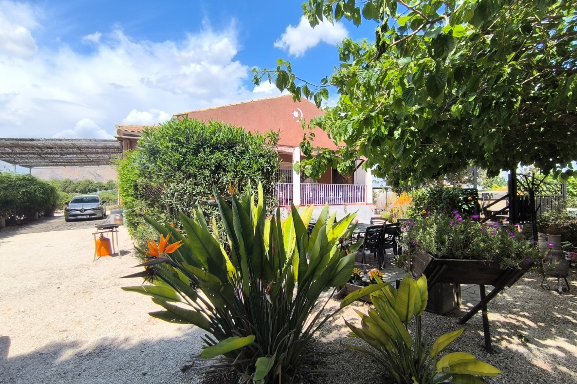 Revente - Finca / Propriété de campagne - Orihuela