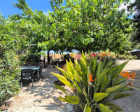 Revente - Finca / Propriété de campagne - Orihuela