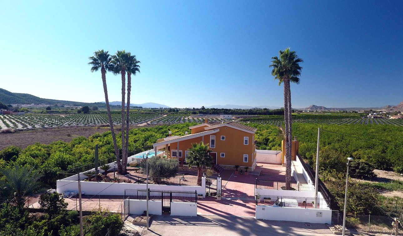 Revente - Finca / Propriété de campagne - Orihuela