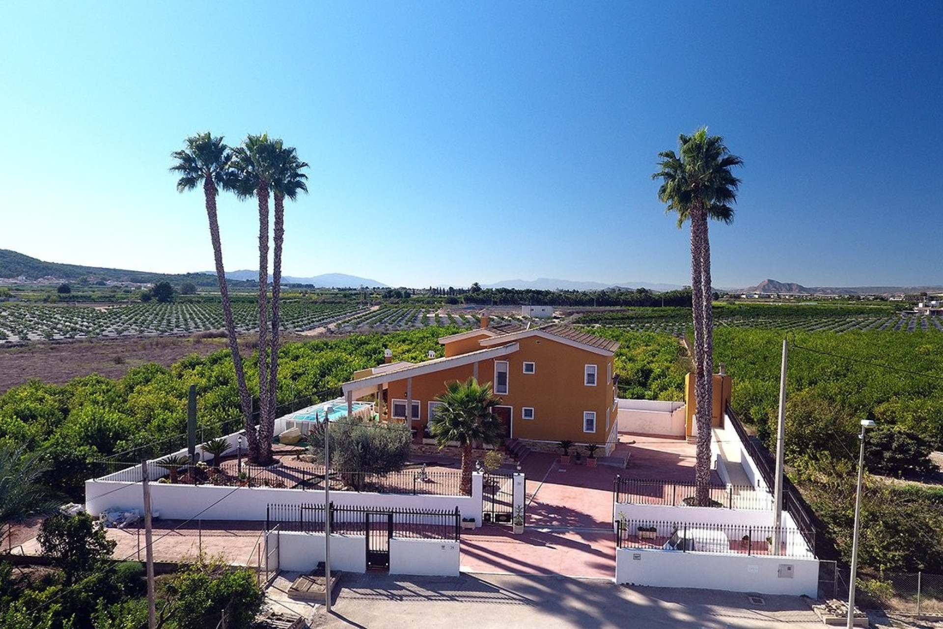 Revente - Finca / Propriété de campagne - Orihuela