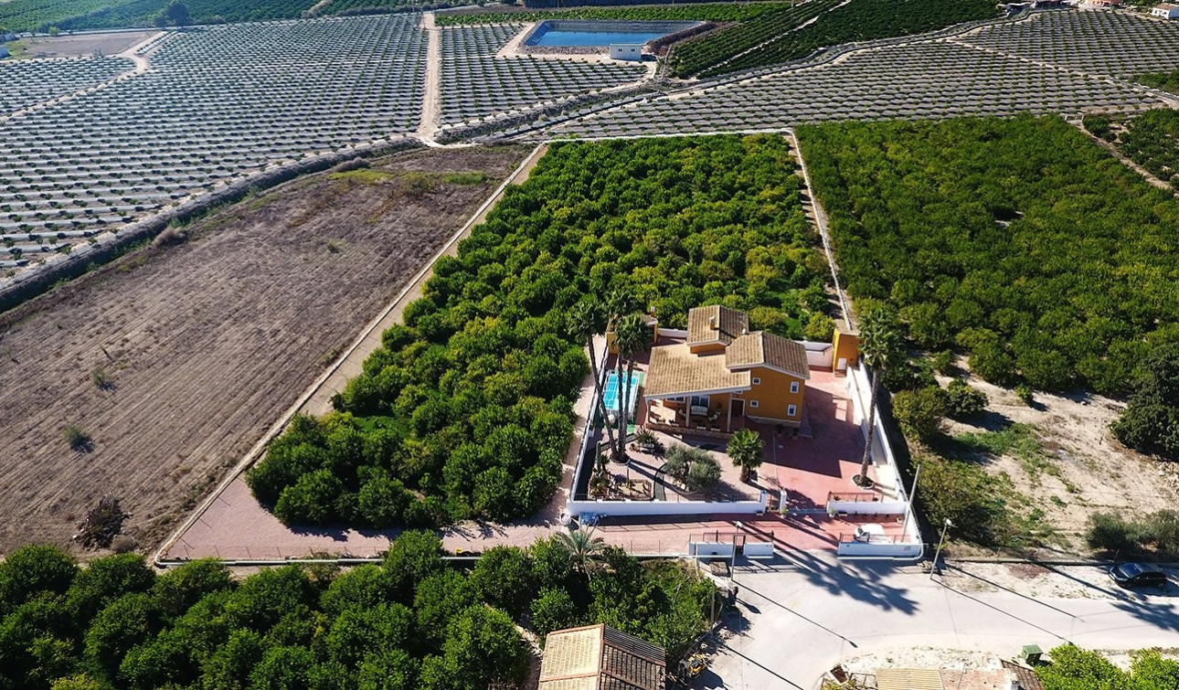 Revente - Finca / Propriété de campagne - Orihuela