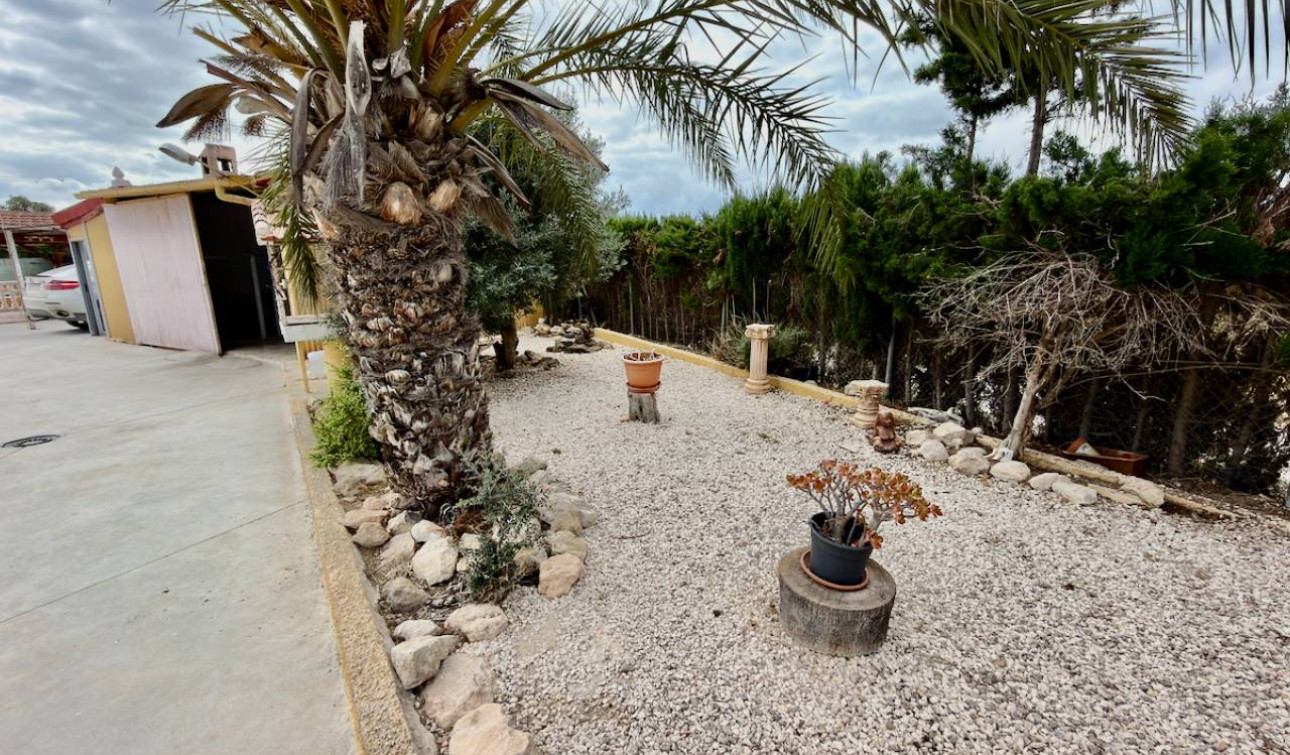 Revente - Finca / Propriété de campagne - San Fulgencio - La Marina