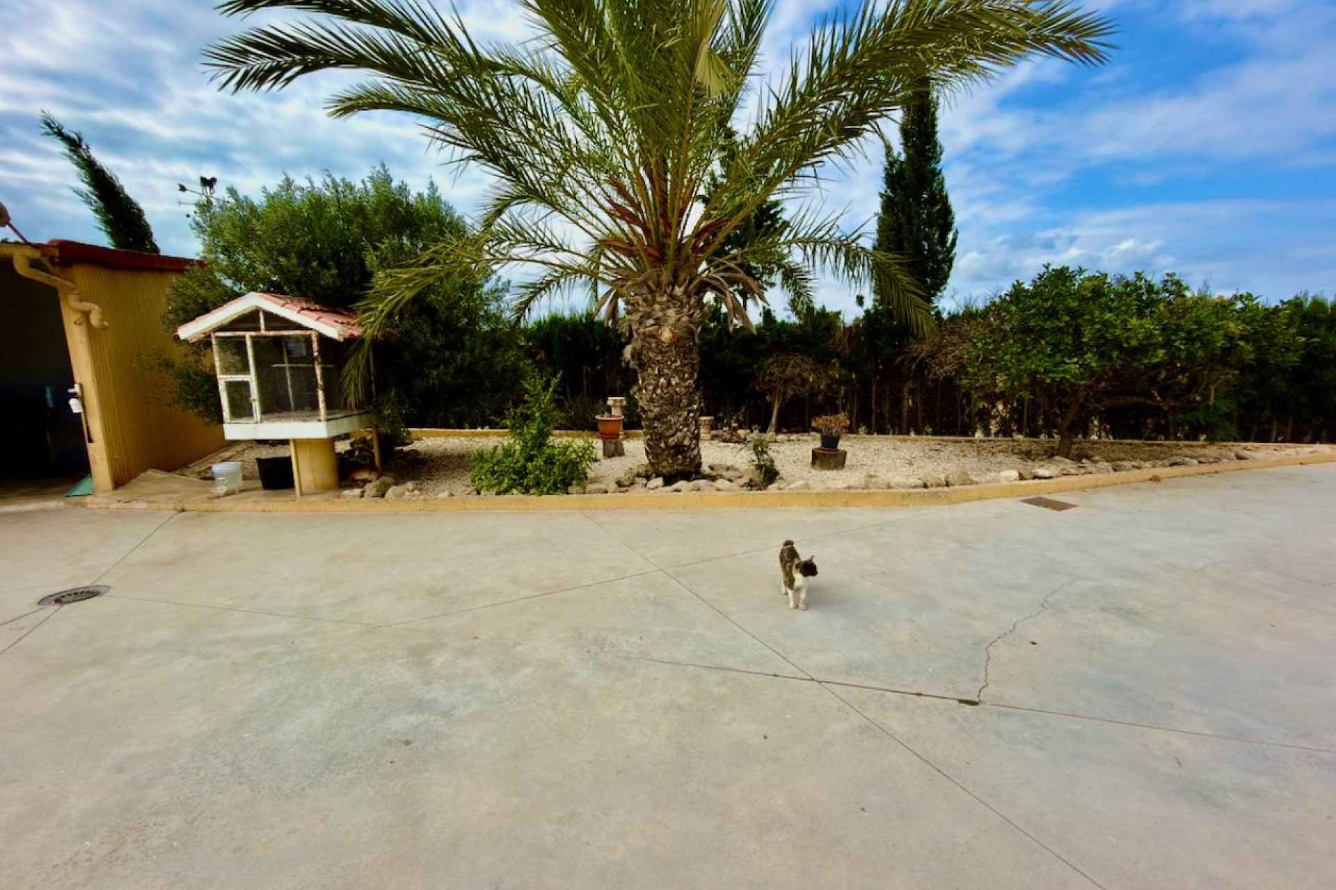 Revente - Finca / Propriété de campagne - San Fulgencio - La Marina