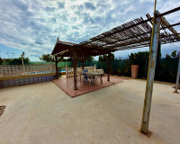Revente - Finca / Propriété de campagne - San Fulgencio - La Marina