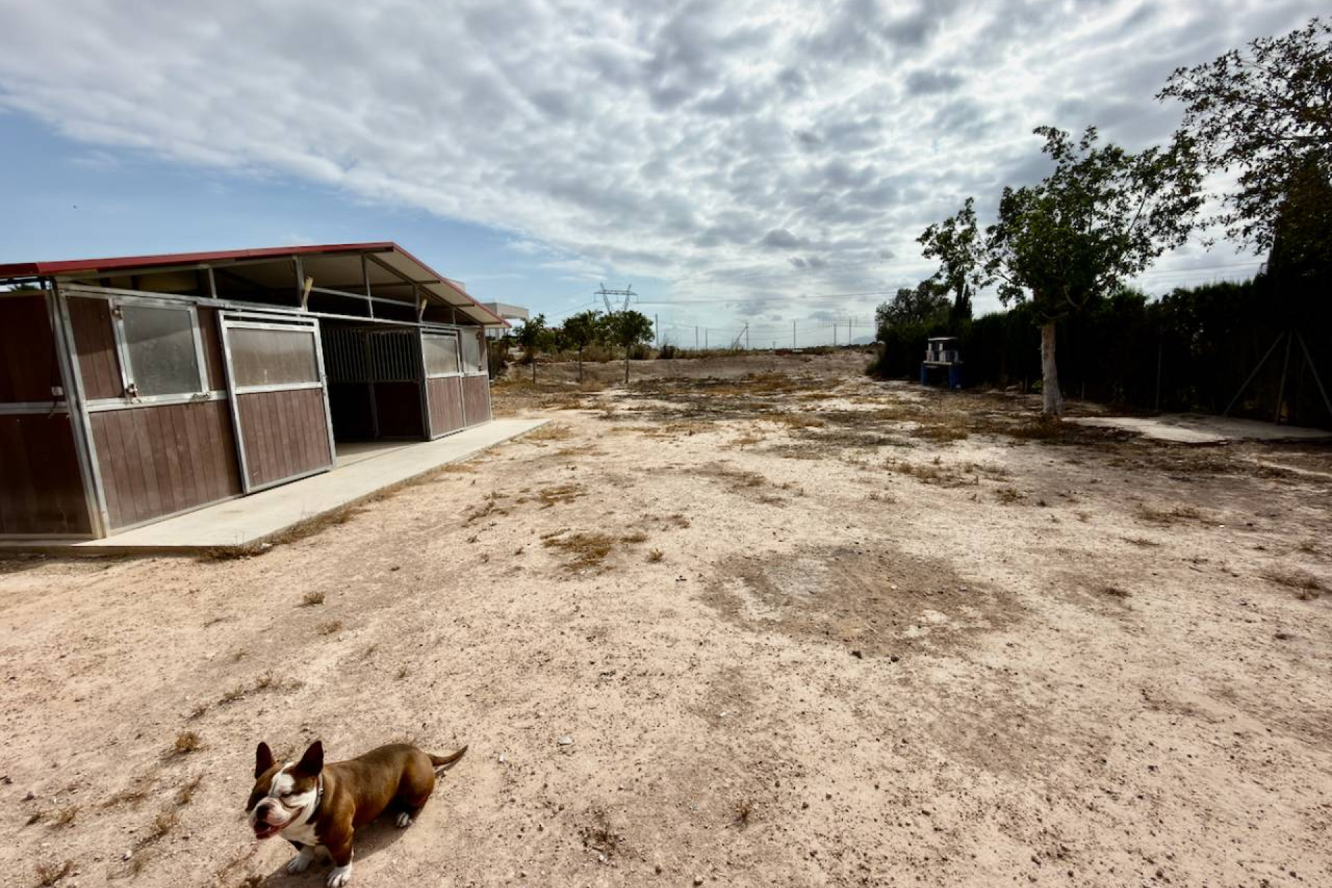 Revente - Finca / Propriété de campagne - San Fulgencio - La Marina