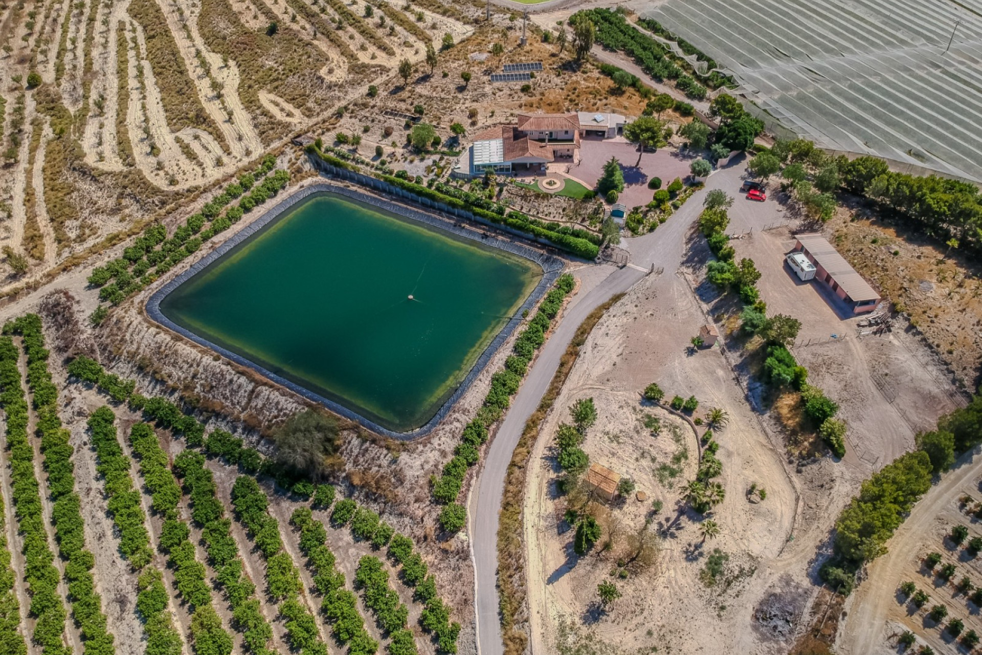 Revente - Finca / Propriété de campagne - San Miguel de Salinas - Torremendo
