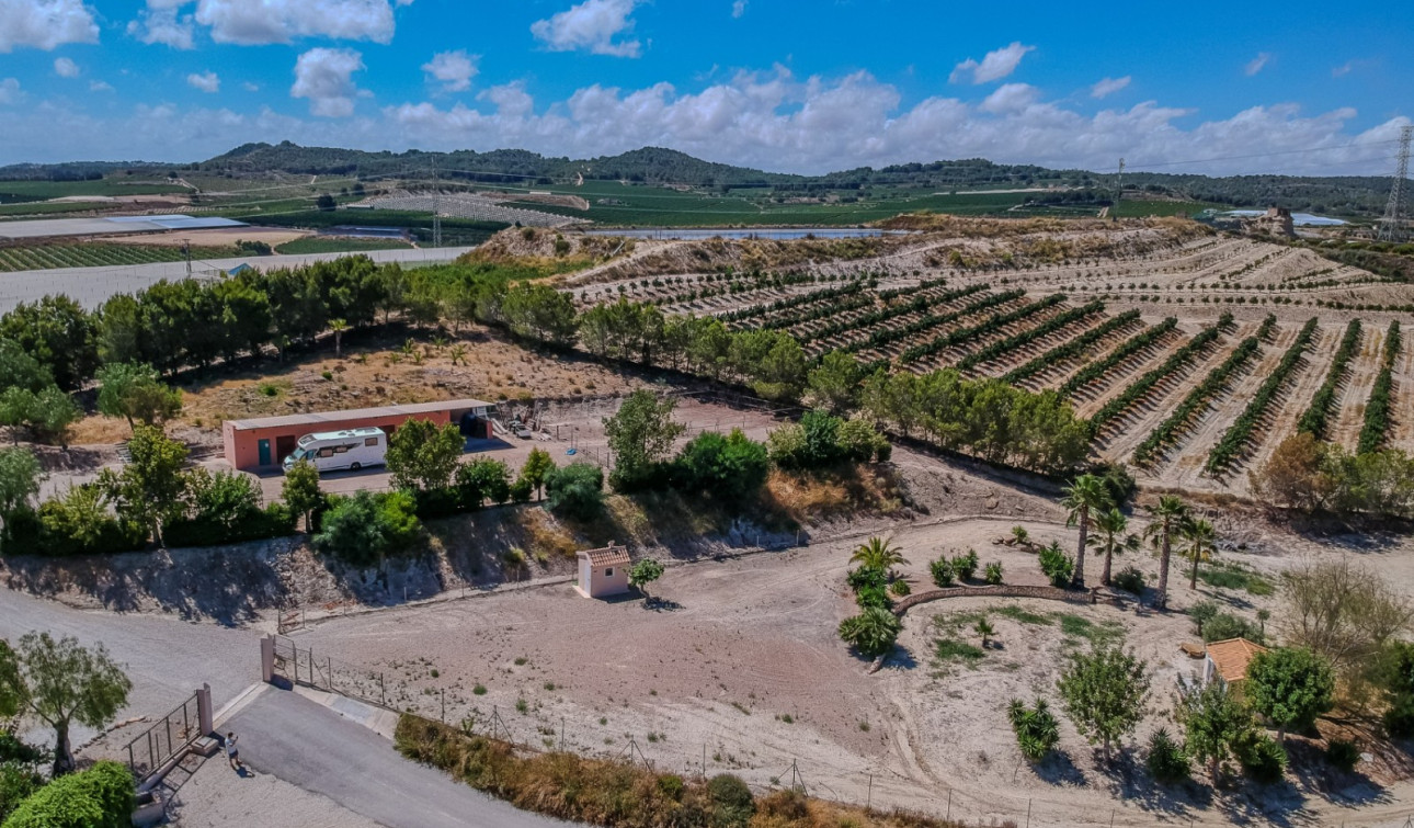 Revente - Finca / Propriété de campagne - San Miguel de Salinas - Torremendo