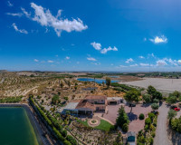 Revente - Finca / Propriété de campagne - San Miguel de Salinas - Torremendo