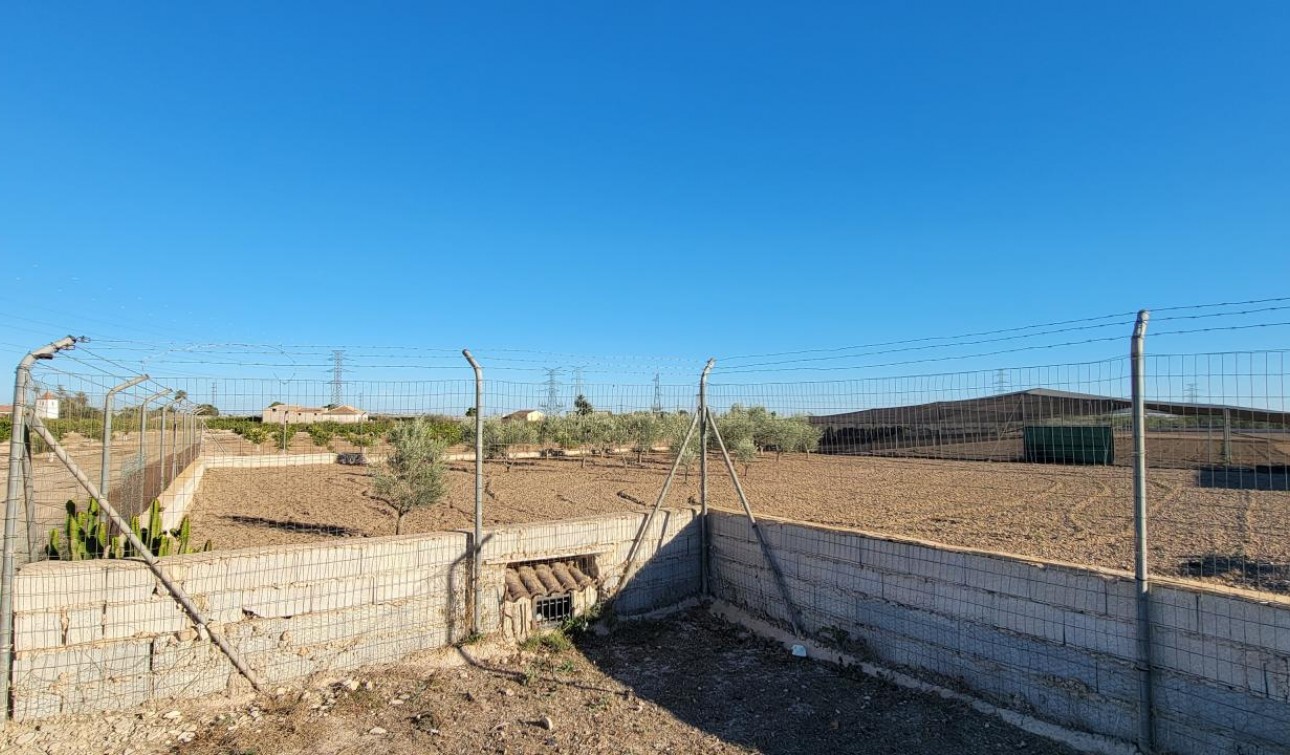 Revente - Finca / Propriété de campagne - San Miguel de Salinas