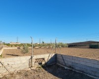 Revente - Finca / Propriété de campagne - San Miguel de Salinas