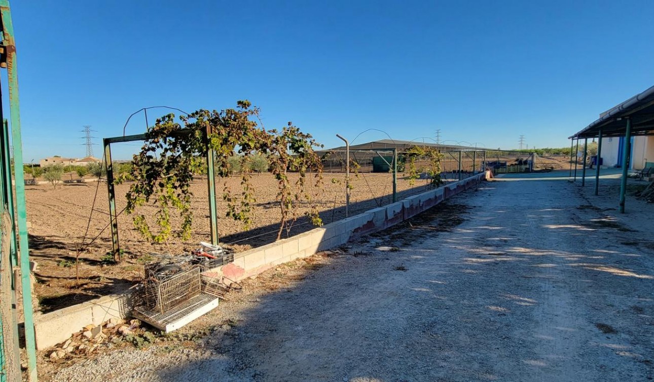 Revente - Finca / Propriété de campagne - San Miguel de Salinas