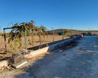 Revente - Finca / Propriété de campagne - San Miguel de Salinas