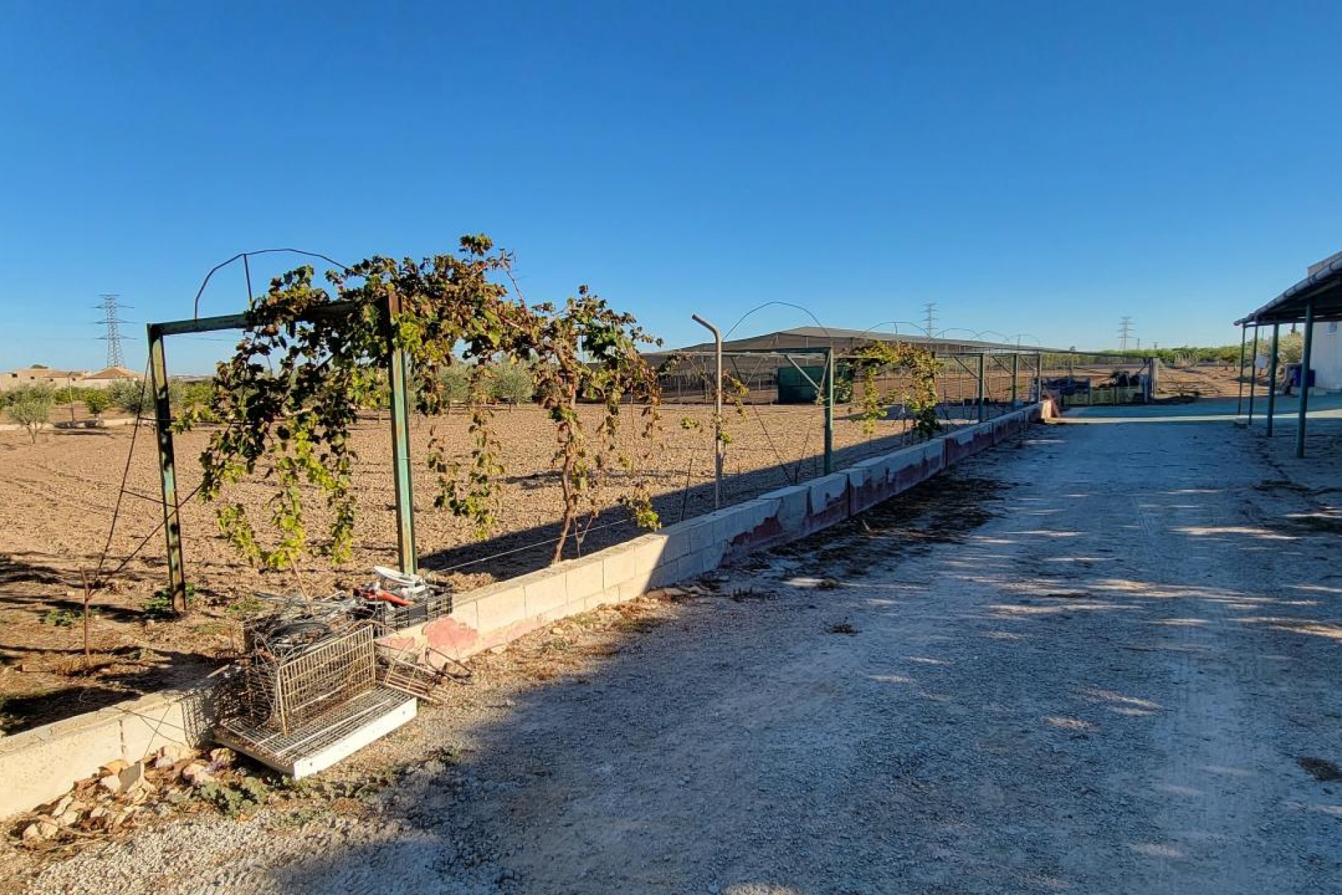 Revente - Finca / Propriété de campagne - San Miguel de Salinas