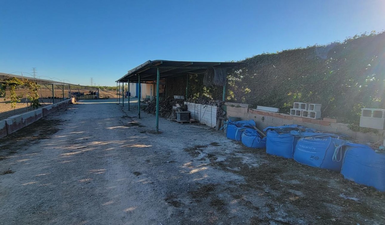 Revente - Finca / Propriété de campagne - San Miguel de Salinas