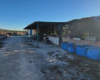 Revente - Finca / Propriété de campagne - San Miguel de Salinas