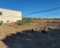 Revente - Finca / Propriété de campagne - San Miguel de Salinas