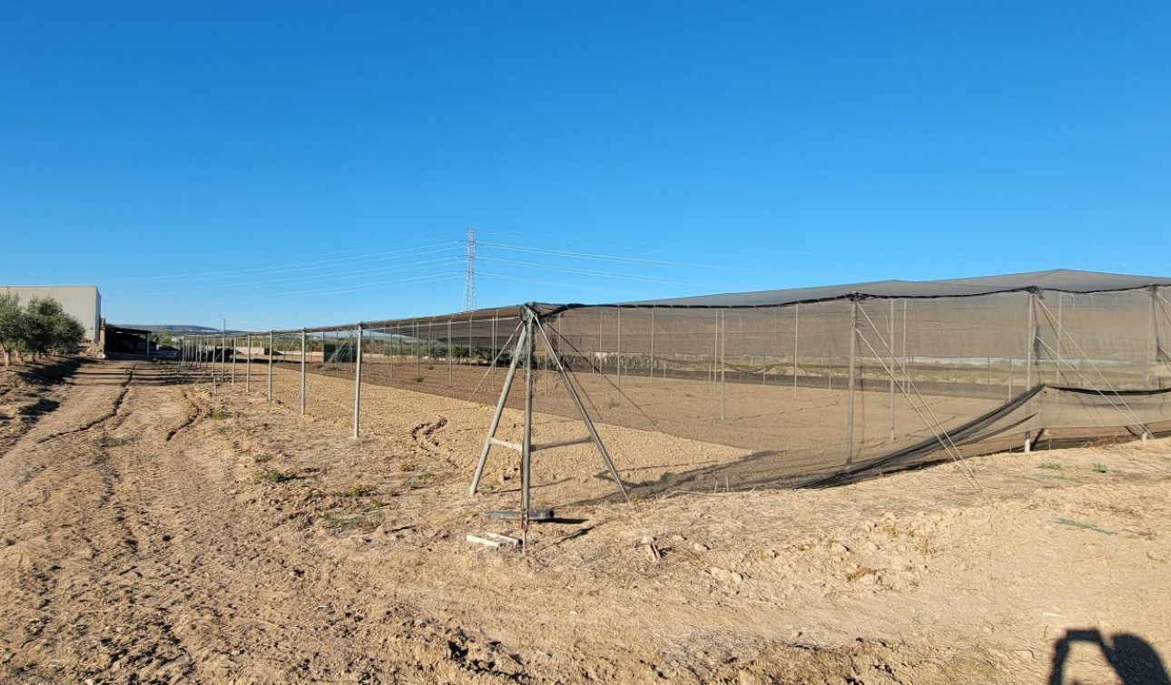 Revente - Finca / Propriété de campagne - San Miguel de Salinas