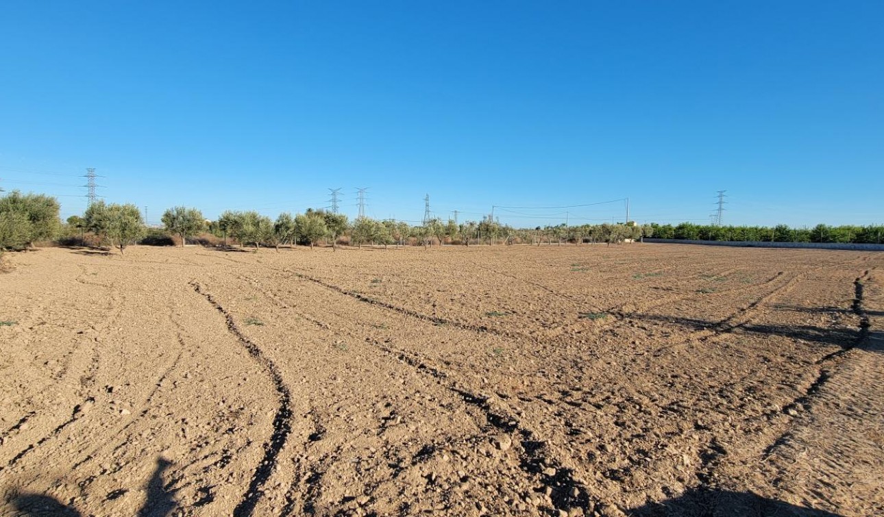 Revente - Finca / Propriété de campagne - San Miguel de Salinas