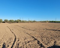 Revente - Finca / Propriété de campagne - San Miguel de Salinas