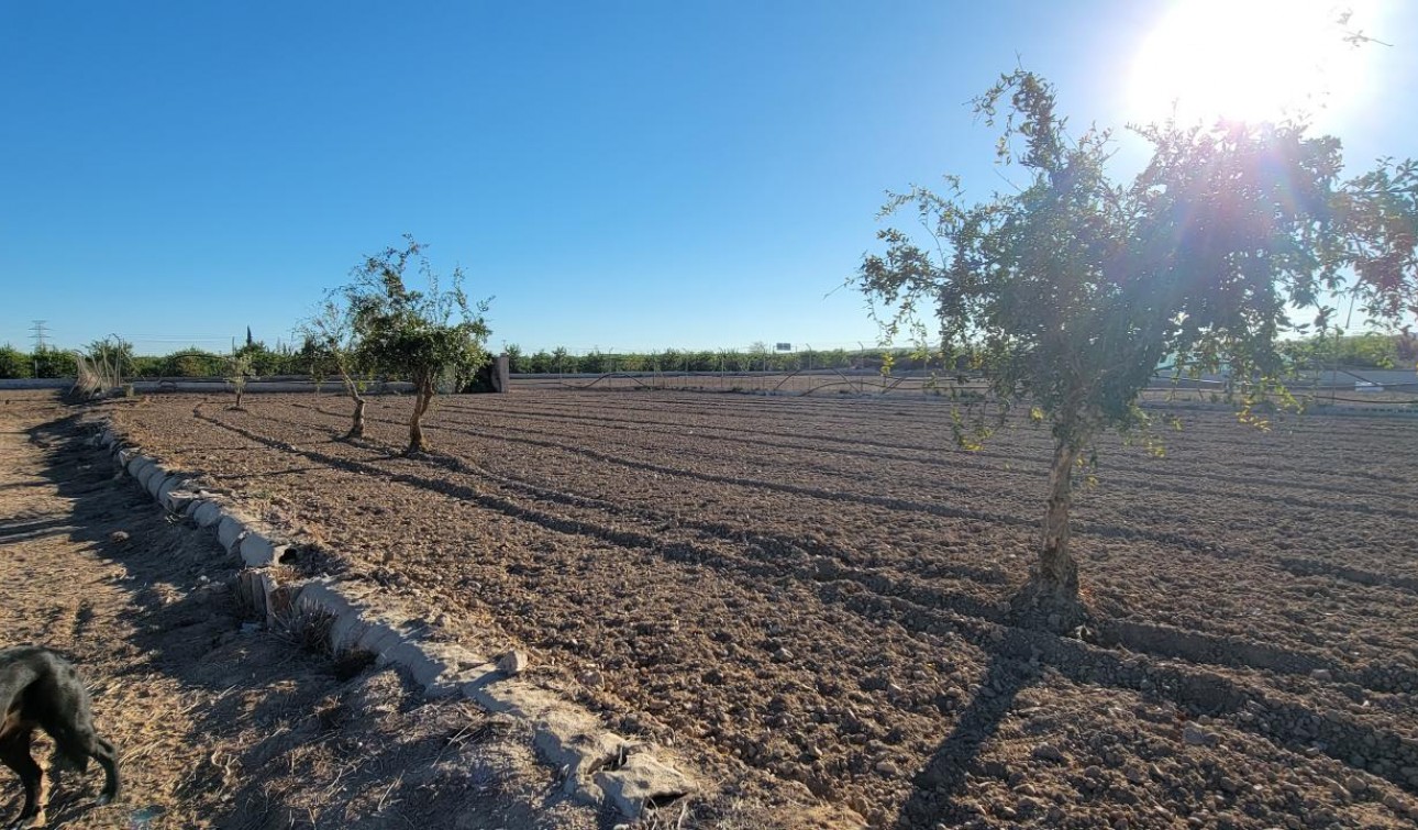 Revente - Finca / Propriété de campagne - San Miguel de Salinas